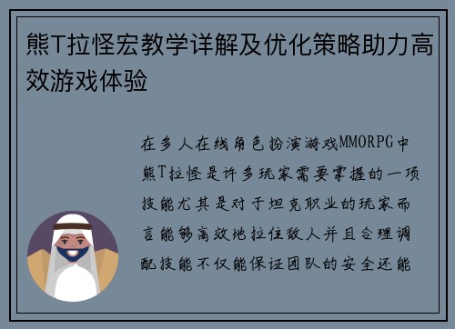 熊T拉怪宏教学详解及优化策略助力高效游戏体验